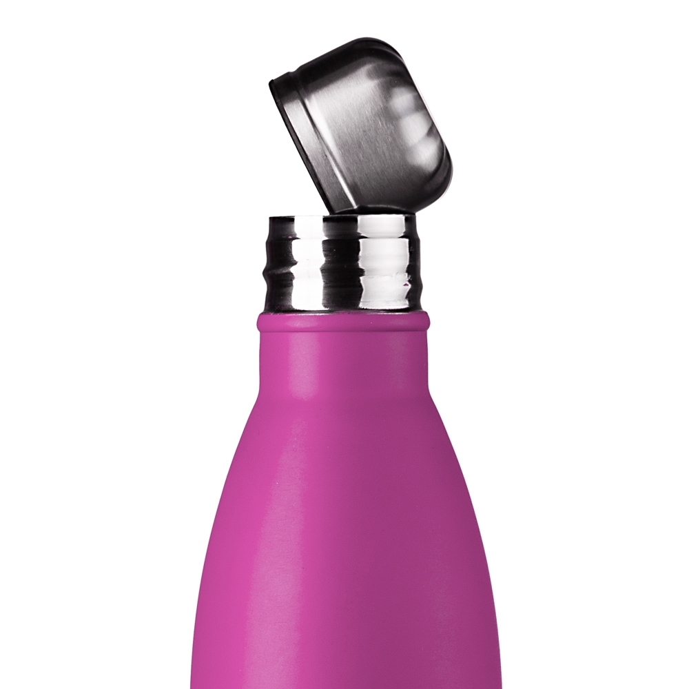 Garrafa Inox